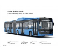 KAMAZ 6299-40-5T CNG