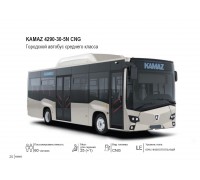 KAMAZ 4290-30-5N CNG