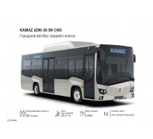 KAMAZ 4290-30-5N CNG
