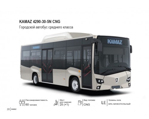 KAMAZ 4290-30-5N CNG